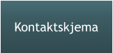 Kontaktskjema