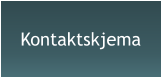Kontaktskjema